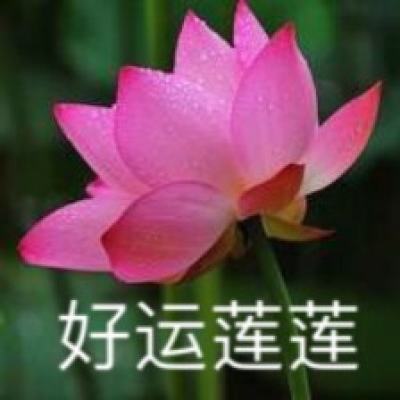 “中國歷史地名查詢系統”使用指南